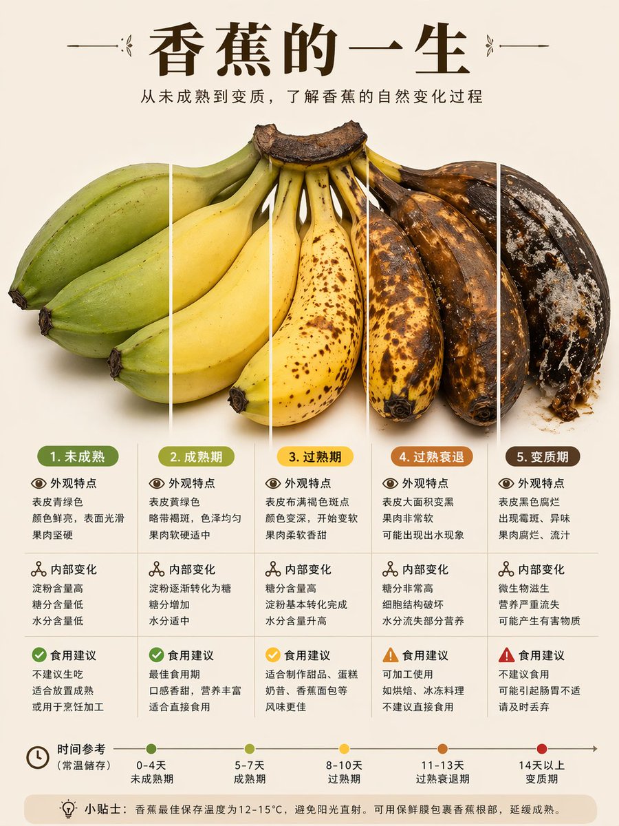 Food Lifecycle Infographic Prompt 的 GPT Image 2 提示词示例图 变化图 3：A detailed scientific infographic prompt designed for Little Red Book style, visualizing the maturation and decay of...