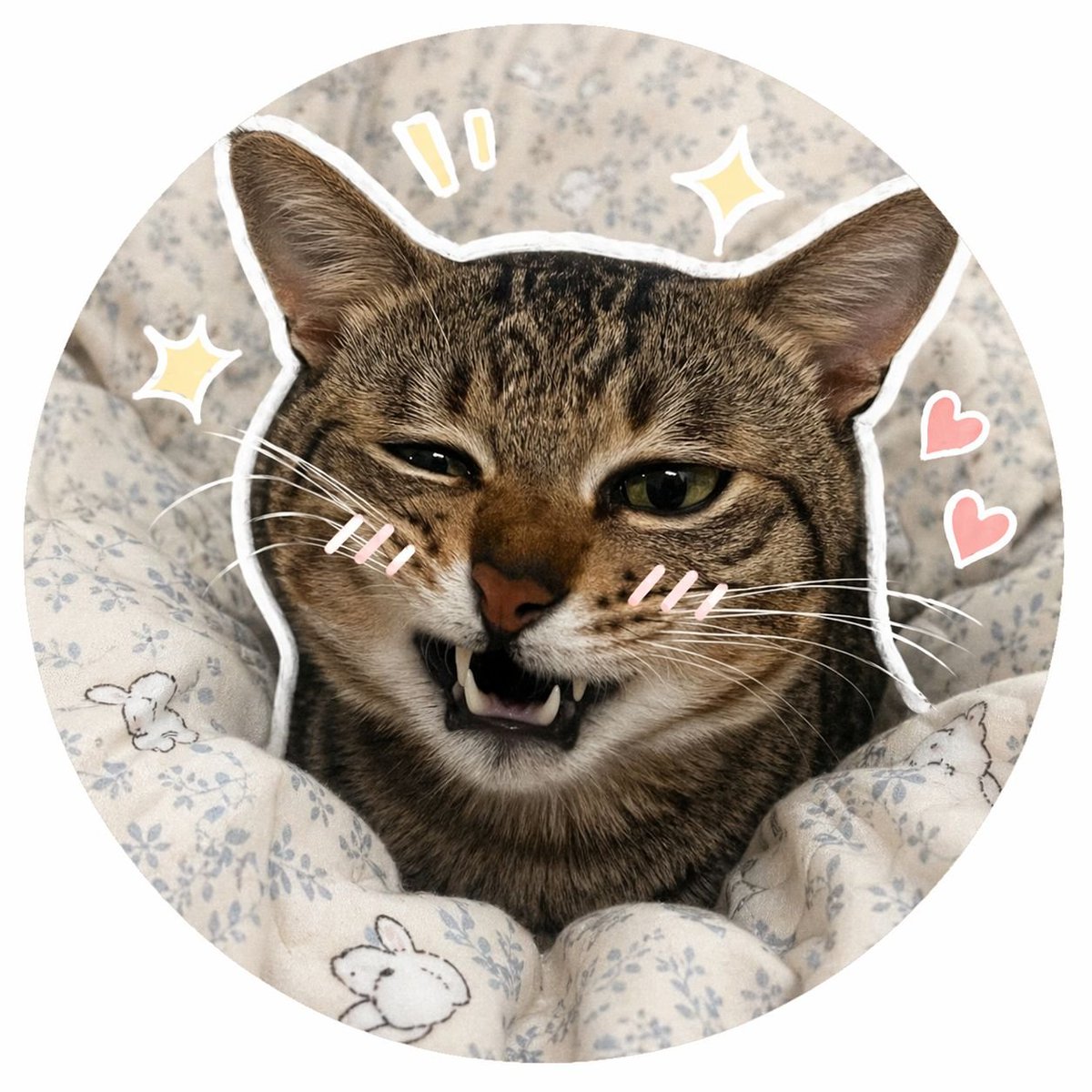 Social Media Pet Avatar Creator Qwen Image prompt example: A natural language prompt to transform a reference photo of a pet into a trendy social media profile picture.