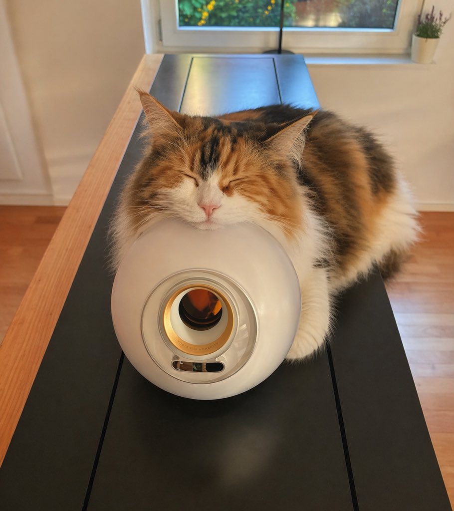 Sleeping Calico on White Appliance Qwen Image prompt example: A warm, realistic pet photo of a fluffy calico cat napping on a sleek white device, ideal for cozy lifestyle or...