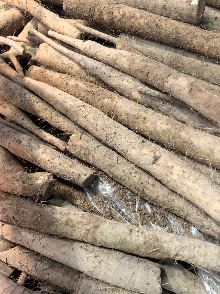 Yam Product Packaging Design Prompt Qwen Image prompt example: A prompt designed to create a comprehensive visual packaging design for a specific product, such as a Chinese yam,...