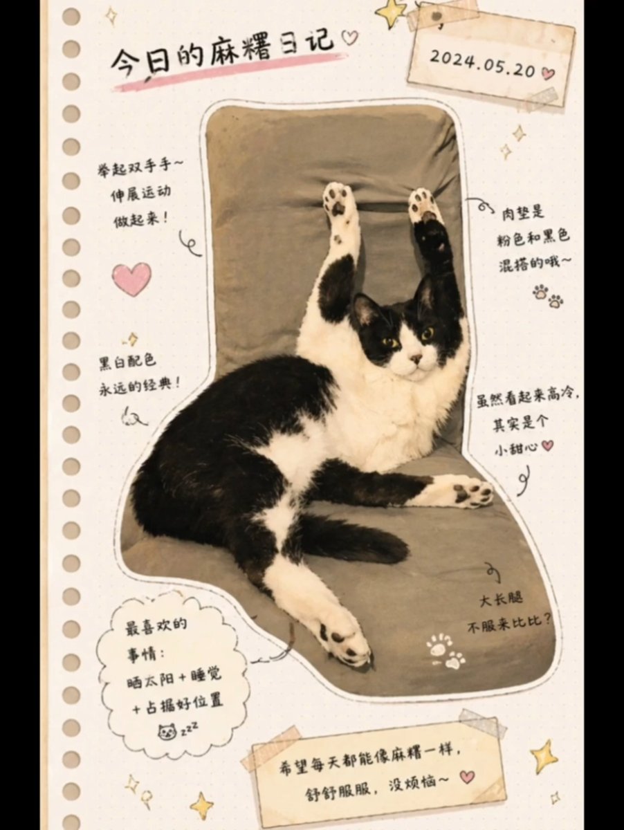 Japanese Journal Style Cat Diary のQwen Imageプロンプト例: A prompt that transforms a pet photo into a cute, hand-drawn Japanese journal-style illustration with stickers, annotations,...